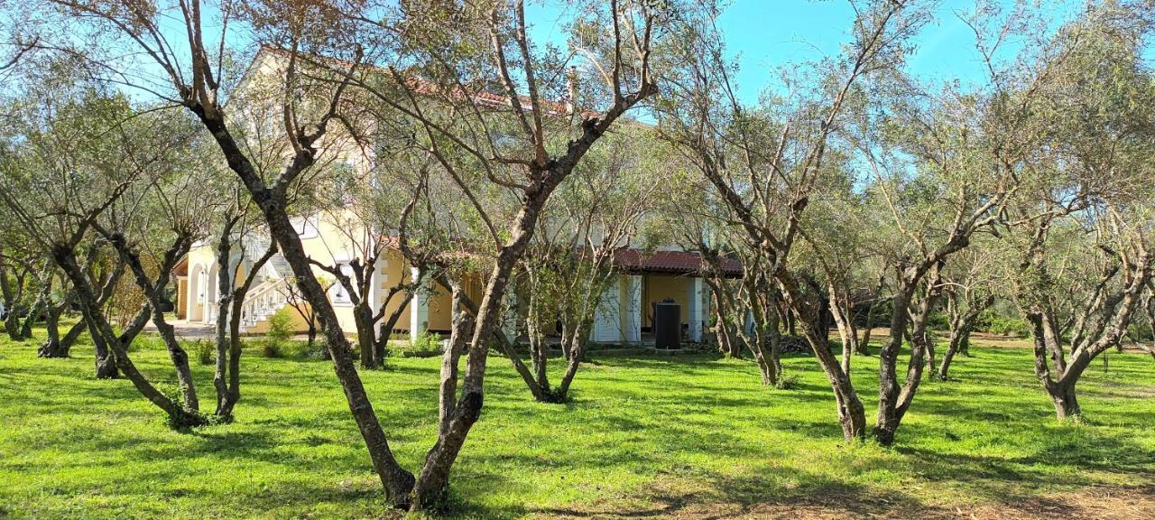 Antonios Olive Garden Acharavi Kerkyra Daire Dış mekan fotoğraf