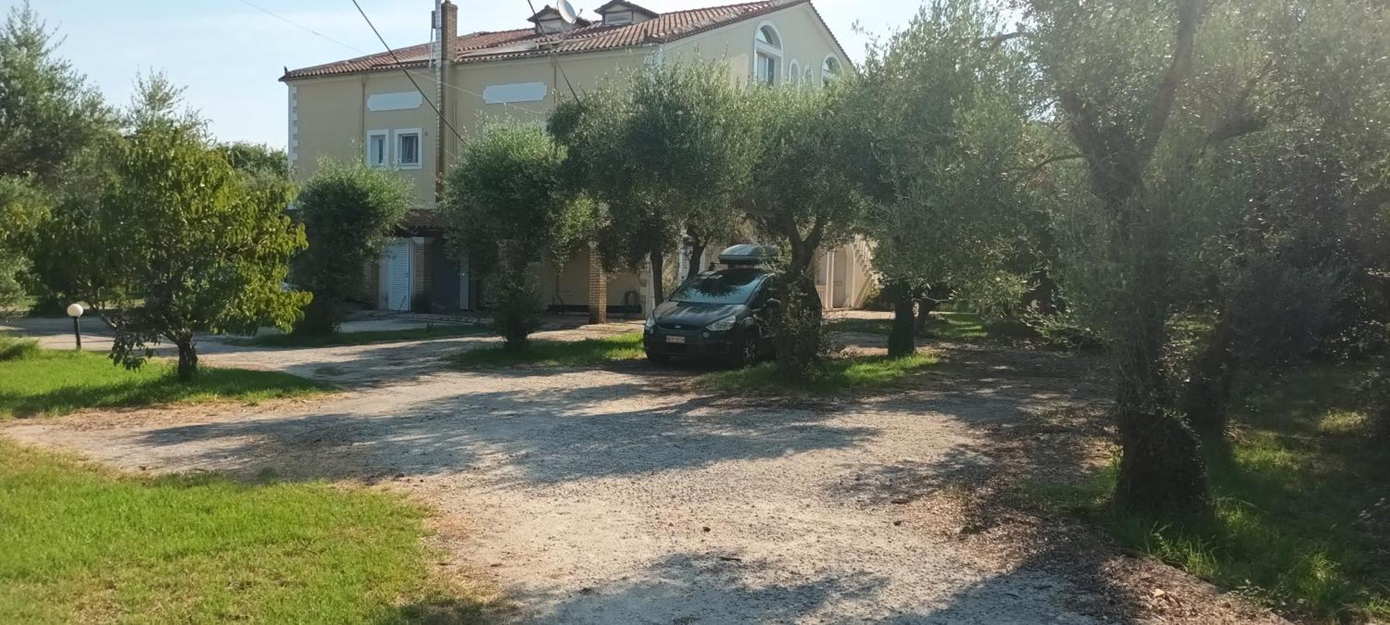 Antonios Olive Garden Acharavi Kerkyra Daire Dış mekan fotoğraf